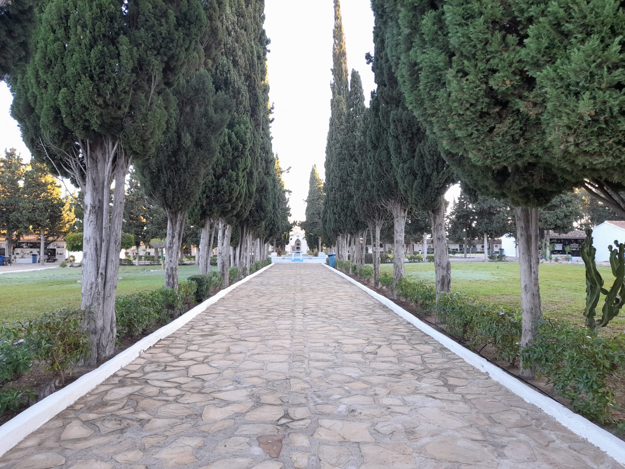 Mojácar Council is carrying out the preparations and improvements at the municipal cemetery for the upcoming celebration of All Saints' Day (1st of November 1st) and All Souls' Day (2nd of November).